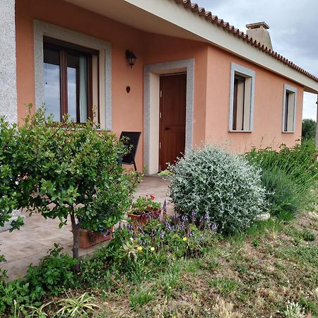 Agriturismo Gli Olivastri Appartamento Corbezzolo Con Piscina E Vista Mare,Climatizzatore,Wifi Aglientu Exterior foto