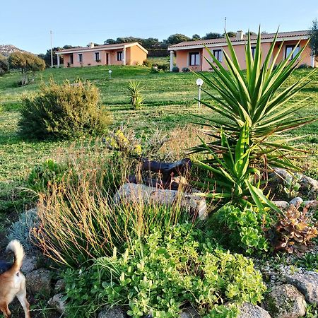 Agriturismo Gli Olivastri Appartamento Corbezzolo Con Piscina E Vista Mare,Climatizzatore,Wifi Aglientu Exterior foto